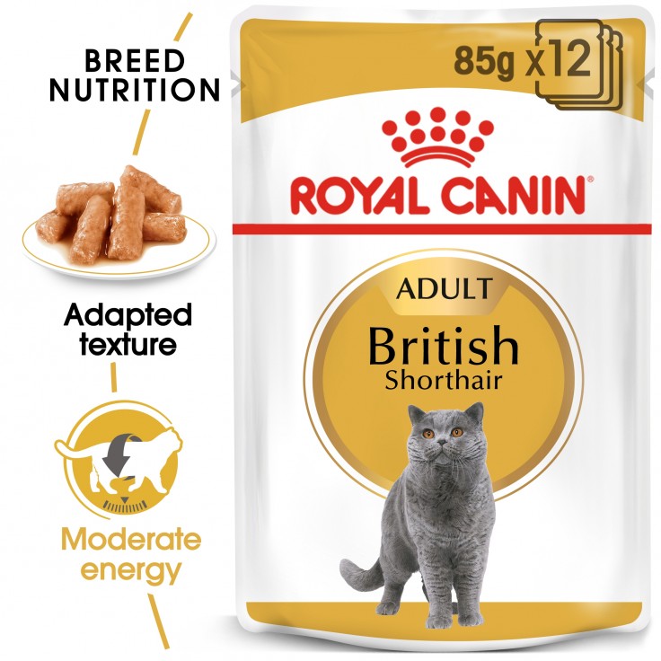 Royal Canin Wet Food Feline Breed Nutrition British Shorthair 12x85G(pouches)